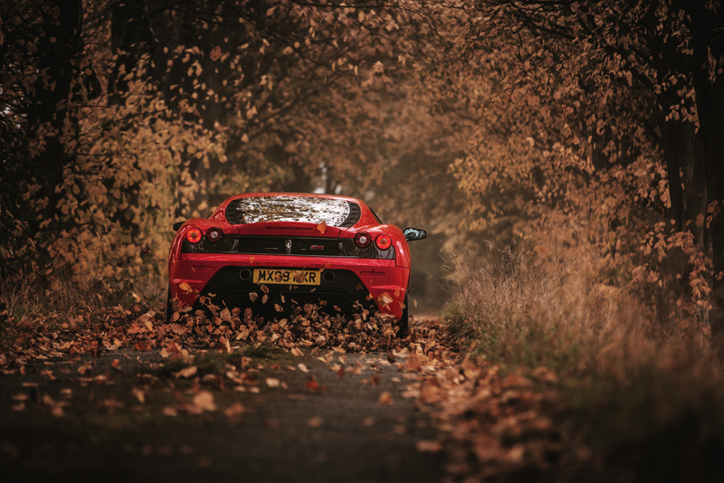 Illustration for article titled #cddcphotocontest FALLow up. FALL!!!!!!